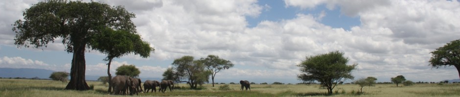 Haydom Safaris