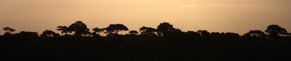 Haydom Safaris